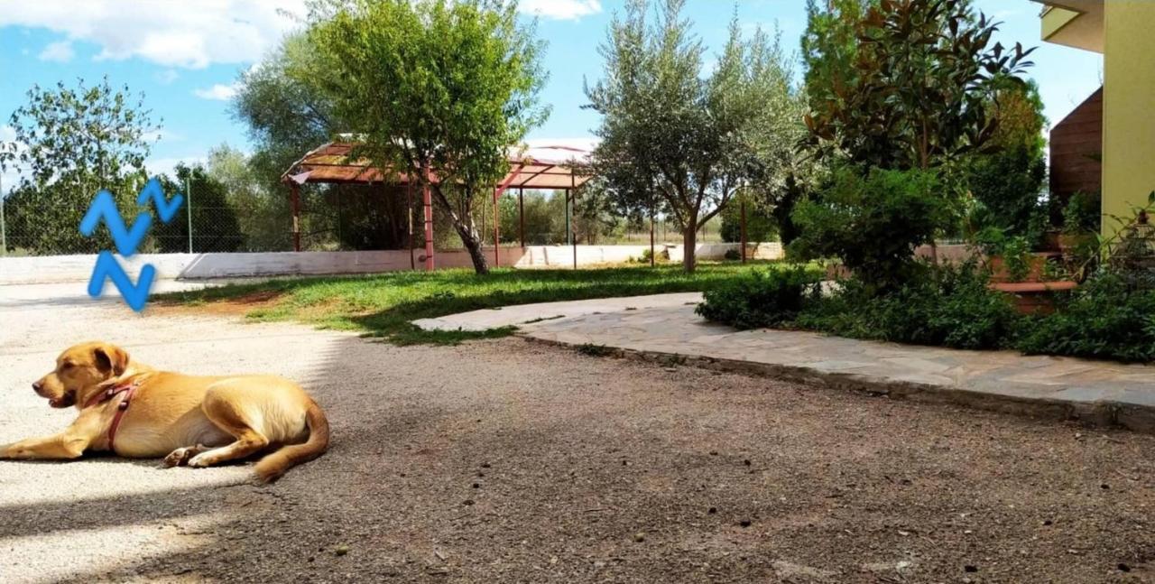 Ktima Anastasia Nauplia Exterior foto