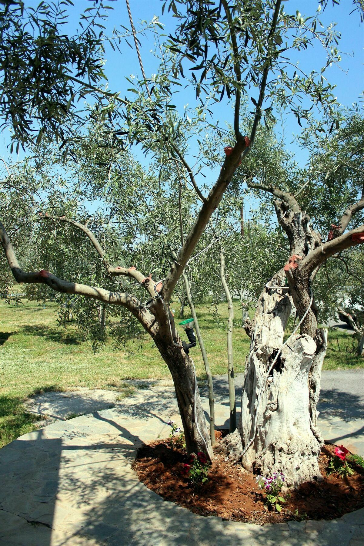 Ktima Anastasia Nauplia Exterior foto